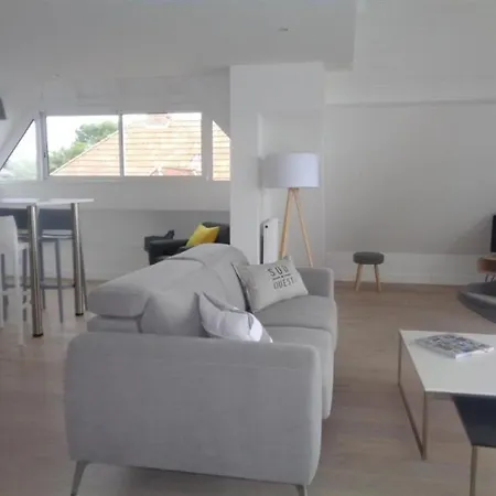 En Duplex Face A La Mer Arcachon